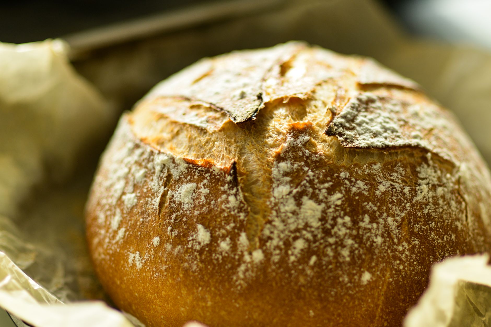 Les fondamentaux de la recette pain levure fraîche : ingrédients, matériel et ratios à respecter — pain frais tout juste cuit