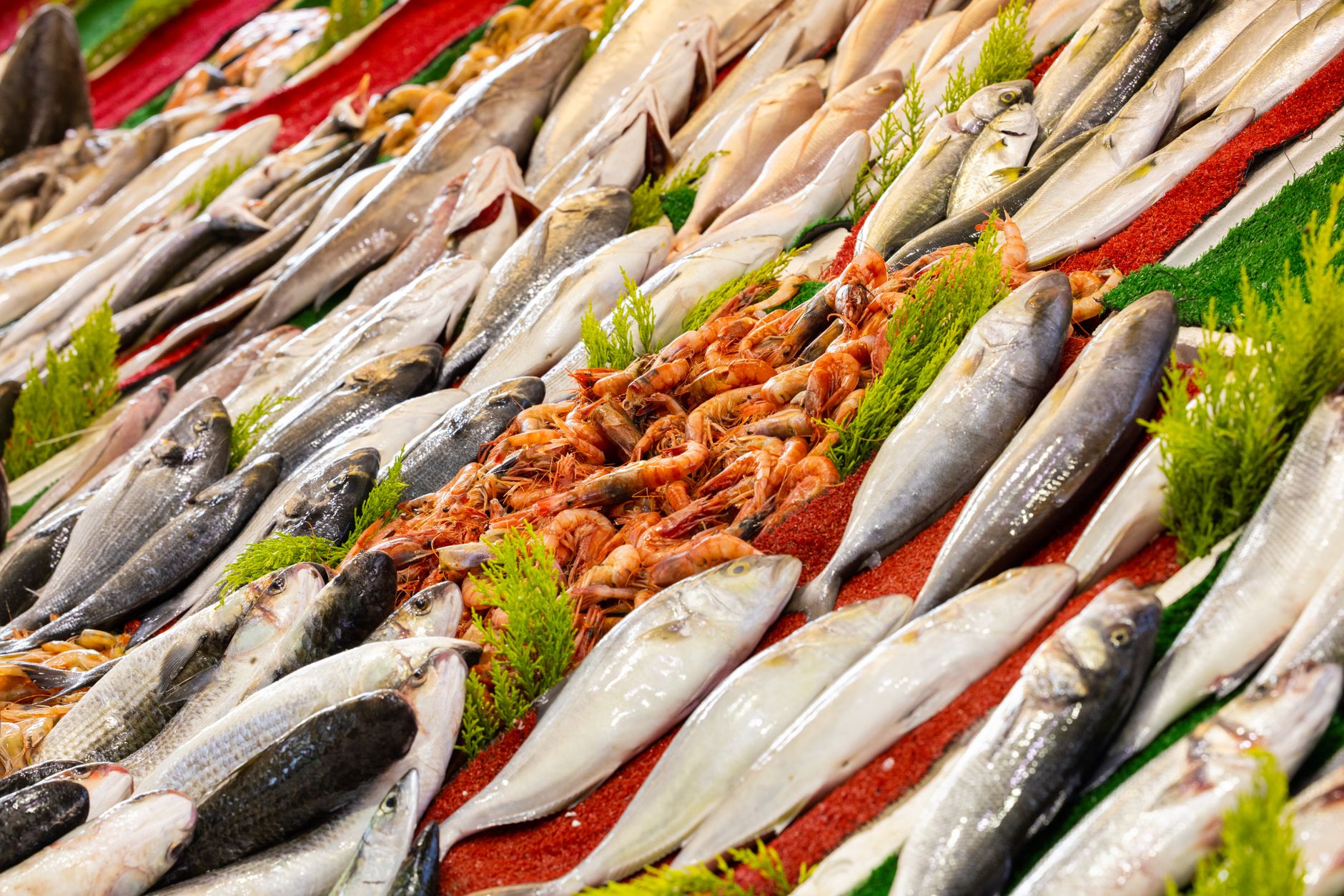 Halal et mer : pourquoi la tradition islamique distingue le poisson des autres animaux — variété de poissons halal sur le marché